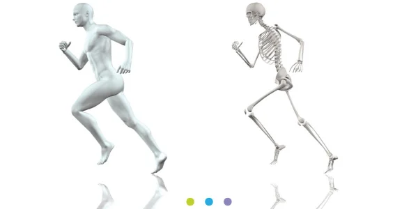 How exercise can benefit your skeletal system