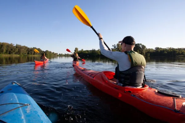 New Olympic Sports! Kayak Cross and Shoulder Tendinitis: Tips from a Senior Sports Therapist