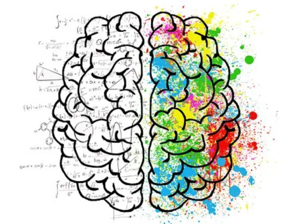 Can vitamins help brain function?